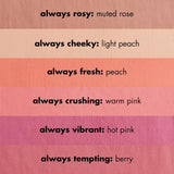 Primer-Infused Matte Blush