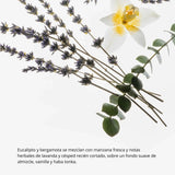 Hidratante desinfectante de manos Power Mist Fragance (E.I)