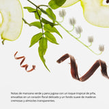 Hidratante desinfectante de manos Power Mist Fragance (E.I)